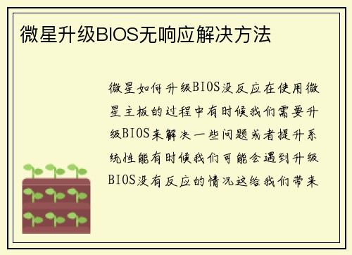 微星升级BIOS无响应解决方法
